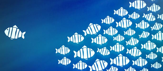 Ein Fisch schwimmt gegen den Strom.
